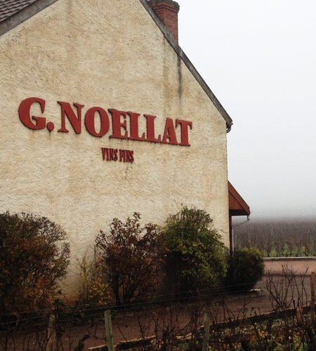 Domaine-Georges-Noellat1