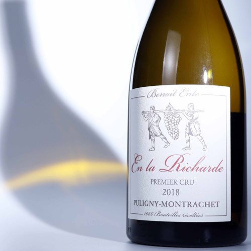 benoit-ente-richarde-500