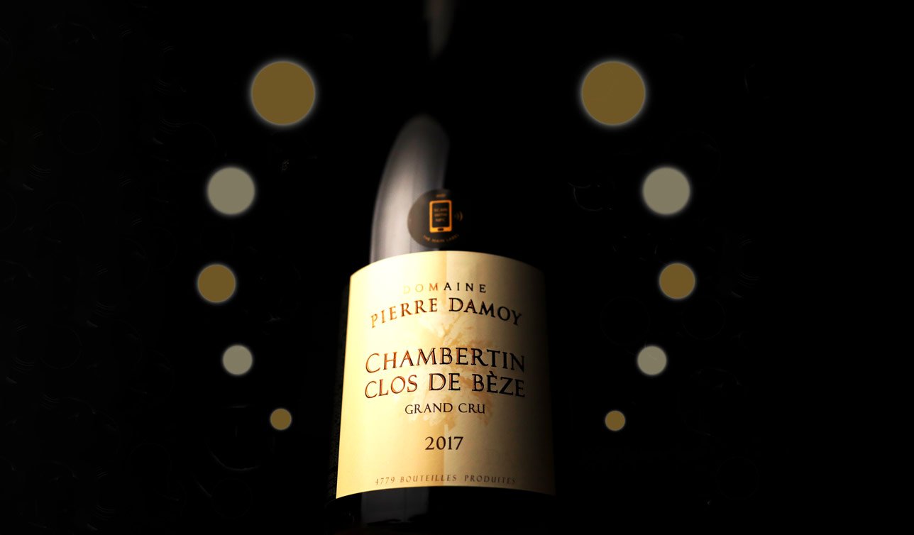 Chambertin Clos de Bèze Grand Cru, Pierre Damoy - 王府酒業